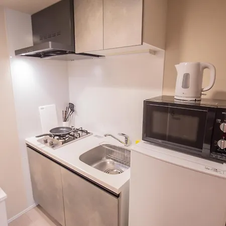 The Most Comfortable And Best Choice For Accommodation In Yoyogi Sosi-2