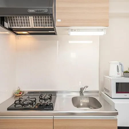 Zaito Kikukawa Srs Apartment 新築マンション-3