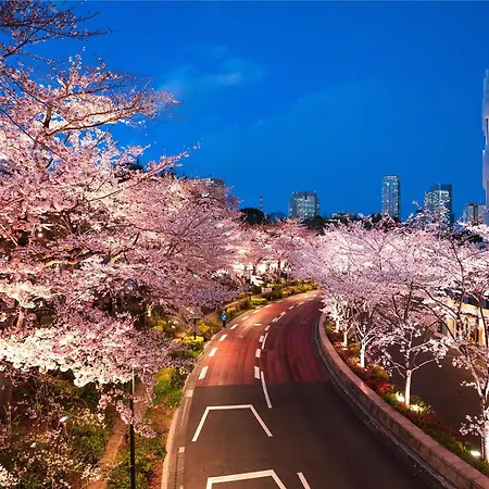 Mimaru Tokyo Akasaka-2