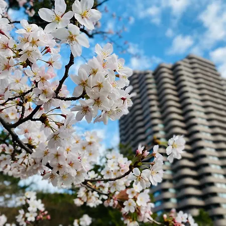 Tokyo Marriott Hotel-2