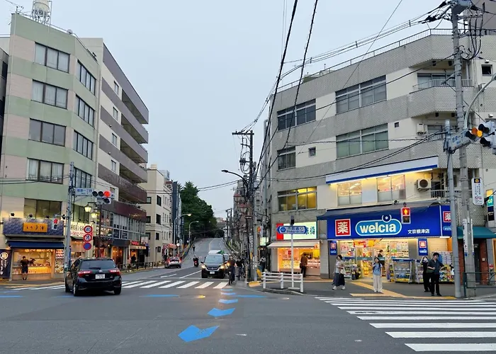 Love Tokyo Nezu Sunset House 1 Min To Nezu Station Near Ueno Yanaka Nezu Shrine Elevator, Tokyo City Area